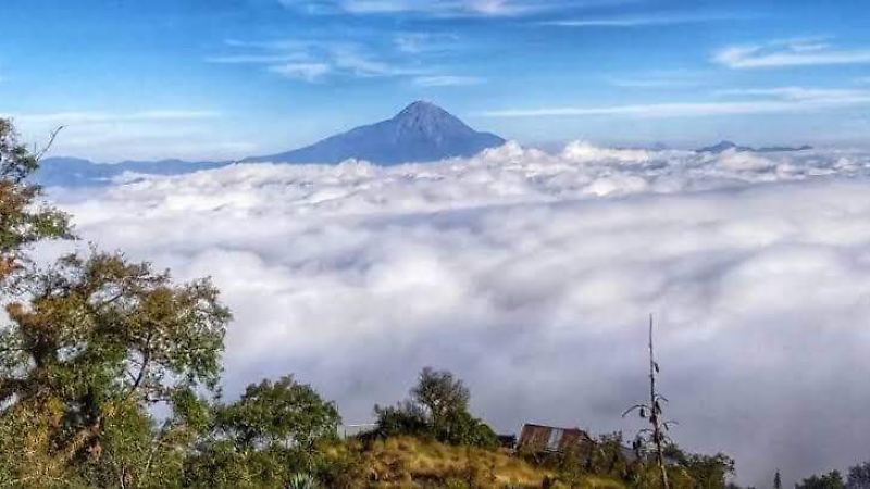 Tacaná